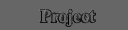 Project